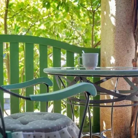Elite Collection Pavoni In